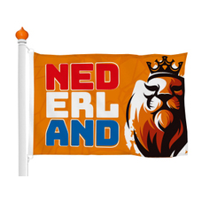 European Championship 2024 flag