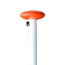 Flagpole Budget