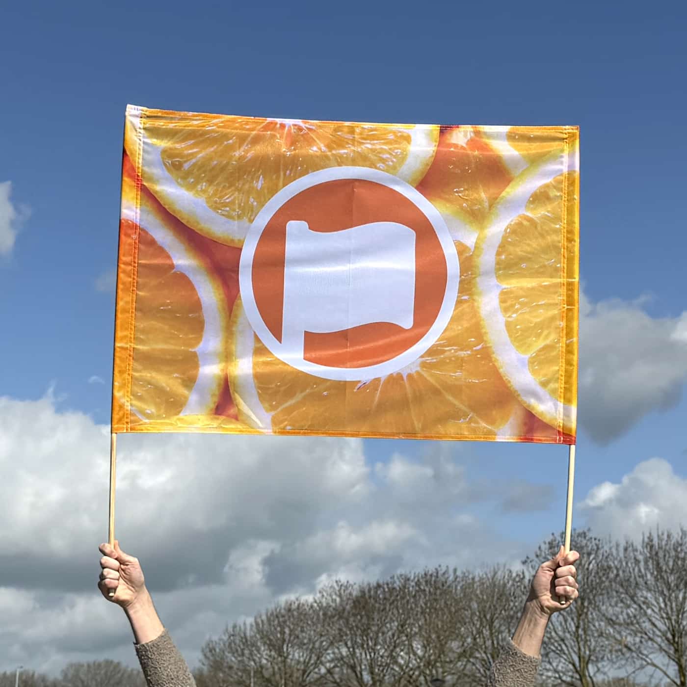 Banner with stick