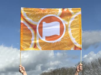 Banner with stick