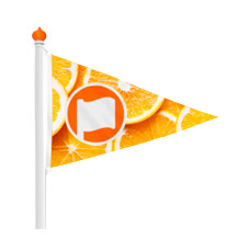 Point flag 30x20cm