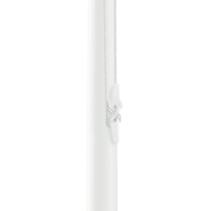 Flagpole Frog
